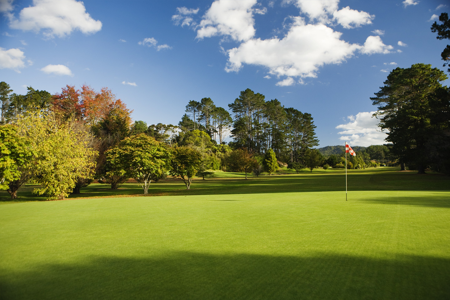 Redwood Park Golf Club